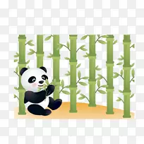 大熊猫熊红熊猫插图-熊猫