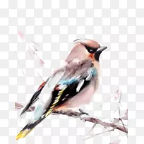 鸟类水彩画版画艺术麻雀
