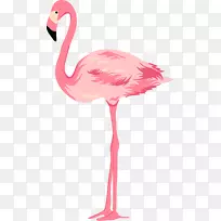 雪尼尼粉红手画的粉红天鹅