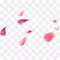 花瓣粉红色-桃子花瓣飘浮