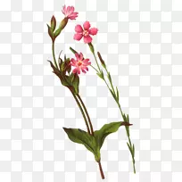 花束设计.背景材料花束