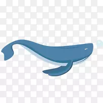 家俱海洋-白鲸