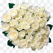 玫瑰花束-白色玫瑰