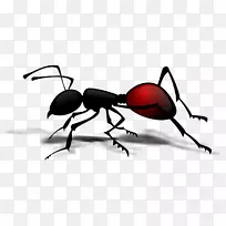 蚂蚁昆虫剪贴画-蚂蚁爬行