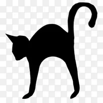 黑猫静物：粉色玫瑰-女巫猫