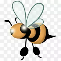 蜜蜂手绘苍蝇