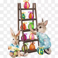复活节兔子中心-兔蛋