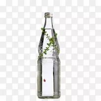 广告海报、平面设计传单-透明瓶子上的绿叶和瓢虫
