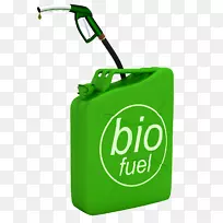 生物燃料乙醇燃料生物柴油纤维素乙醇绿色能源
