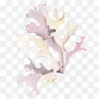 珊瑚贝壳-紫色珊瑚