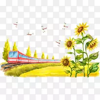 普通向日葵卡通插画-红色火车和向日葵