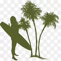 树椰子女冲浪板夏季椰子树材料