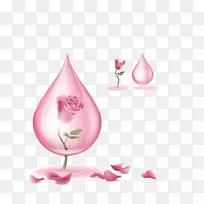 下载水滴中的粉红色玫瑰