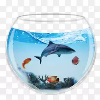 海豚鲨鱼鱼缸.含鲨鱼水族馆