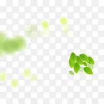 绿色背景