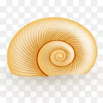 贝壳螺旋海螺圆-海螺