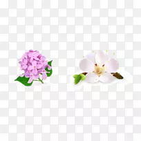 花卉绘画-免费花卉设计-梨花