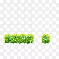 灌木下载插图-绿色灌木丛插图