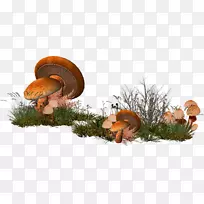 蘑菇剪贴画-卡通草菇林装饰图案