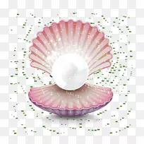 牡蛎珍珠贝壳宝石夹艺术珍珠壳
