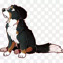伯恩斯山犬繁殖-孤独的伯恩塞山犬