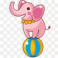 大象表演马戏团-马戏团大象载体