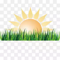 阳光欧式太阳与草坪