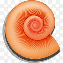 正交换器-手绘红蜗牛