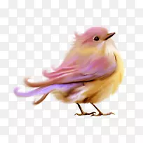 爱鸟紫色剪贴画-可爱的小鸟