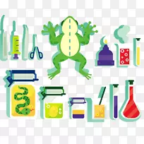 实验下载化学-绘制青蛙解剖