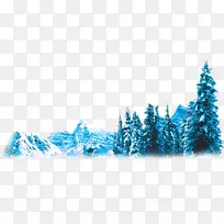 松木冬季冰山-冰山和松树