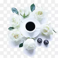Ipoh白咖啡厅海滩玫瑰Ipoh白咖啡白玫瑰和咖啡