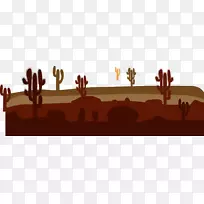 沙漠仙人掌-沙漠仙人掌