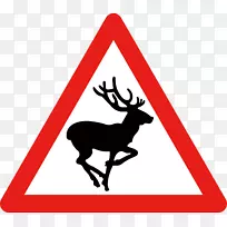 马野生动物警示标志交通标志注意避让鹿