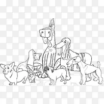 巴赛特猎犬吉娃娃，彭布罗克，威尔士犬，狗