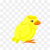 鸭泡鸡夹艺术-黄面泡泡鸡