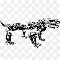 暴龙恐龙古生物剪贴画恐龙骨架
