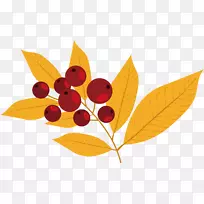 弗鲁蒂·迪博斯科·奥格里斯秋季-用浆果绘制的手绘树叶