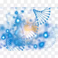 生物基因生物学食物链-生物遗传链