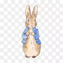 彼得·兔子婚礼邀请函的故事-开放的水彩画兔子爱情