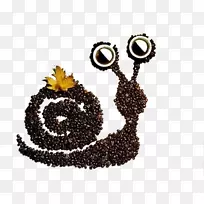 咖啡工艺种子纸创意-蜗牛