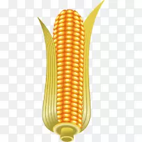玉米上的玉米剪贴画.金色玉米图案
