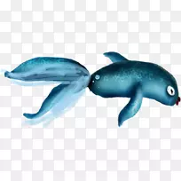 普通宽吻海豚海洋生物海底鱼类