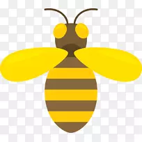 蜜蜂apis cerana android应用程序包蜂蜜黄蜂毒液