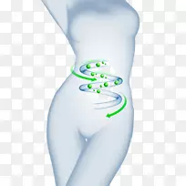 肠道u51cfu80a5益生菌体健康创意女性肠道减肥广告定义图片