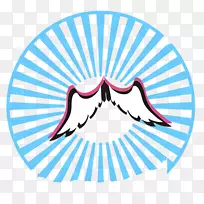 光斩波频率光学赫兹天使翅膀