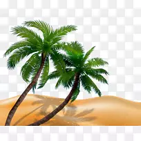 槟榔科树木轮廓图-海滩椰树