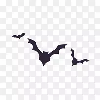 万圣节插图-黑色蝙蝠