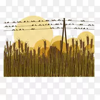 鸟类剪影插图-秋稻
