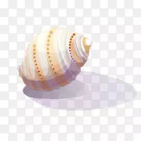海蜗牛剪贴画-白色黄点海螺